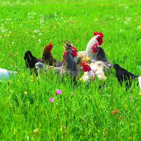 Des Cabr'éoles Apartamento